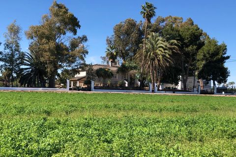 Landejendom i Dolores, Alicante, Dolores - € 20.000 | Ref: LAHUERTA - foto 20